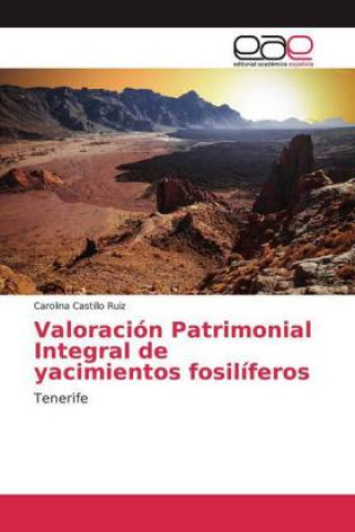 Könyv Valoración Patrimonial Integral de yacimientos fosilíferos Carolina Castillo Ruiz