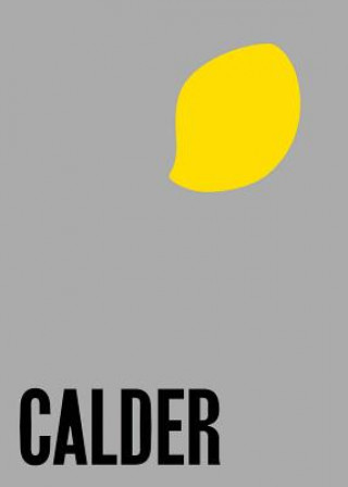 Könyv Alexander Calder - From the Stony River to the Sky Dam