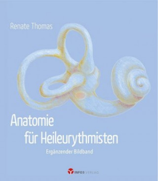 Kniha Anatomie für Heileurythmisten Renate Thomas