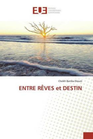 Knjiga ENTRE REVES et DESTIN Cheikh Bamba Dioum