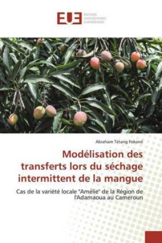 Kniha Modelisation des transferts lors du sechage intermittent de la mangue Abraham Tétang Fokoné