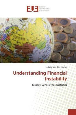 Knjiga Understanding Financial Instability Ludwig van den Hauwe