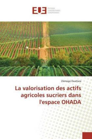 Carte valorisation des actifs agricoles sucriers dans l'espace OHADA Ziémogo Ouattara