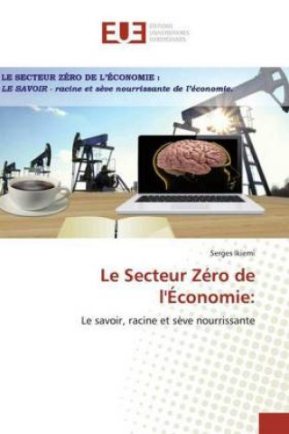 Buch Le Secteur Zéro de l'Économie: Serges Ikiemi