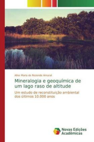 Książka Mineralogia e geoquímica de um lago raso de altitude Aline Maria de Rezende Amaral