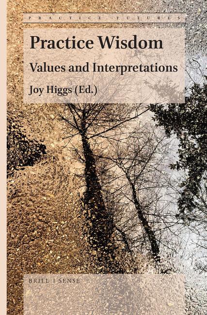 Boek Practice Wisdom: Values and Interpretations Joy Higgs
