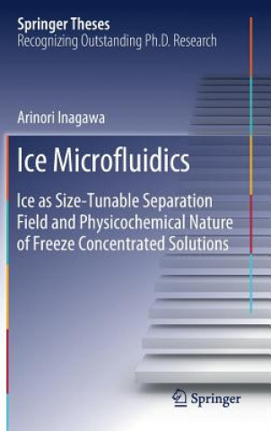 Carte Ice Microfluidics Arinori Inagawa