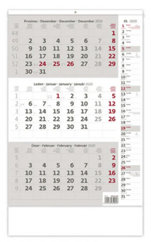 Calendar / Agendă Tříměsíční šedý s poznámkami - nástěnný kalendář 2020 