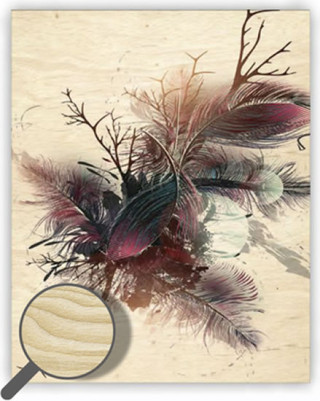 Kniha Obraz dřevěný: Feathers, 240 x 300 