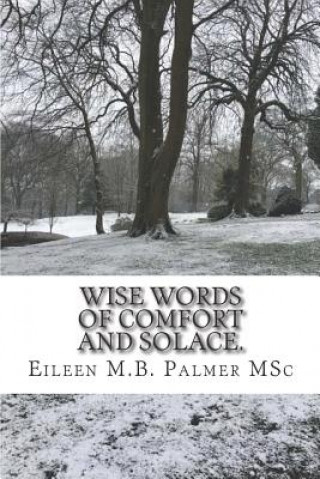 Carte Wise Words of Comfort and Solace: Transformational Guided Imagery to Help and Heal. Eileen M B Palmer Msc