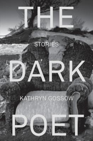 Kniha Dark Poet Kathryn Gossow