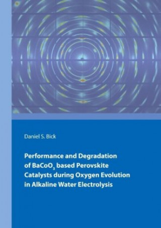 Kniha Performance and Degradation of BaCoO3 based Perovskite Catalysts during Oxygen Evolution in Alkaline Water Electrolysis Daniel Bick