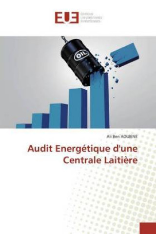 Kniha Audit Energetique d'une Centrale Laitiere Ali Ben AOUIENE