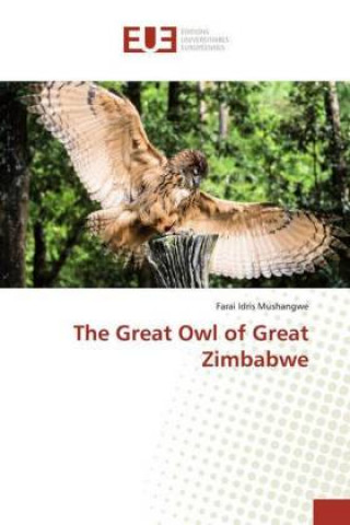 Carte Great Owl of Great Zimbabwe Farai Idris Mushangwe