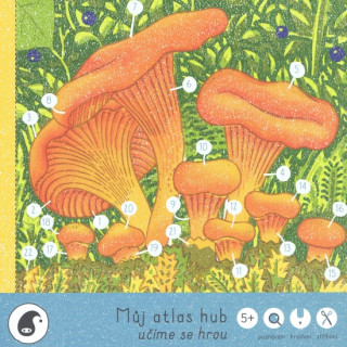 Carte Můj atlas hub Jitka Musilová