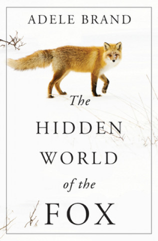 Kniha The Hidden World of the Fox Adele Brand