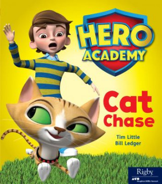 Kniha Cat Chase Tim Little
