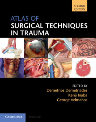 Kniha Atlas of Surgical Techniques in Trauma Demetrios Demetriades