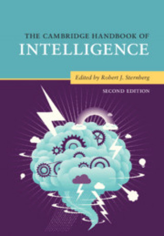 Carte Cambridge Handbook of Intelligence Robert J. Sternberg