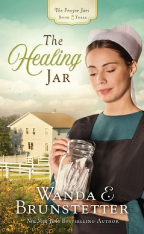 Kniha The Healing Jar Wanda E. Brunstetter