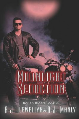 Kniha Moonlight Seduction D. J. Manly
