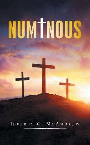 Buch Numinous Jeffrey C. McAndrew