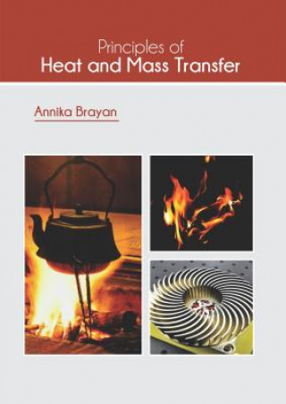 Könyv Principles of Heat and Mass Transfer Annika Brayan