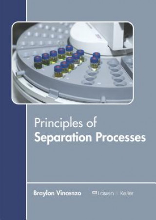 Könyv Principles of Separation Processes Braylon Vincenzo