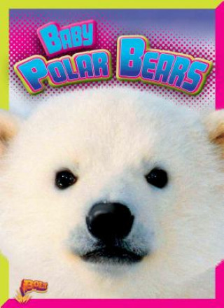 Libro Baby Polar Bears Deanna Caswell