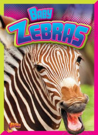 Könyv Baby Zebras Deanna Caswell