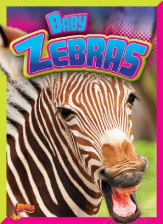 Libro Baby Zebras Deanna Caswell