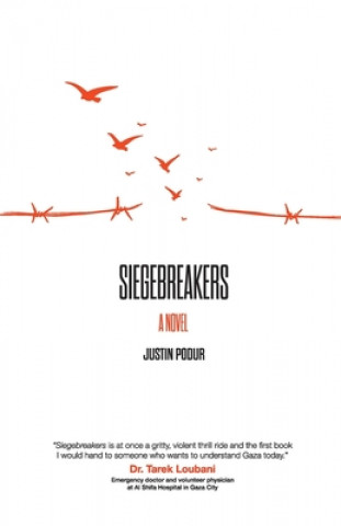 Kniha Siegebreakers Justin Podur