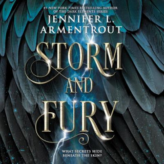 Digital Storm and Fury Jennifer L. Armentrout