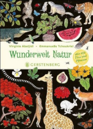 Könyv Wunderwelt Natur Virginie Aladjidi