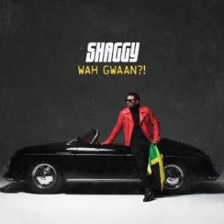 Audio Wah Gwaan?! Shaggy