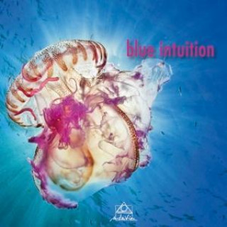 Audio  Blue Intuition Various