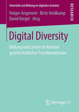 Kniha Digital Diversity Holger Angenent