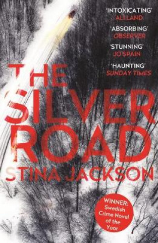 Kniha Silver Road Stina Jackson