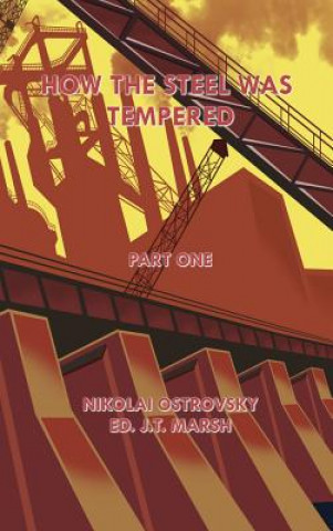 Libro How the Steel Was Tempered Nikolai Ostrovsky