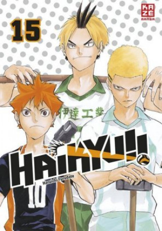 Kniha Haikyu!! - Band 15 Haruichi Furudate