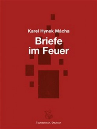 Kniha Briefe im Feuer Karel Hynek Mácha