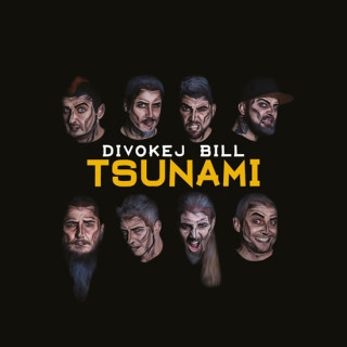Libro Tsunami - LP Bill Divokej
