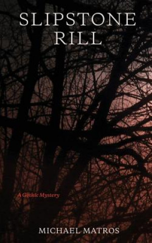 Knjiga Slipstone Rill: A Gothic Mystery Michael Matros