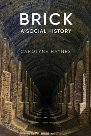 Könyv Brick Carolyne Haynes