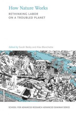 Kniha How Nature Works Sarah Besky