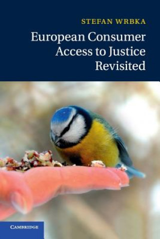 Kniha European Consumer Access to Justice Revisited Wrbka