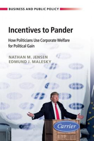 Kniha Incentives to Pander Jensen