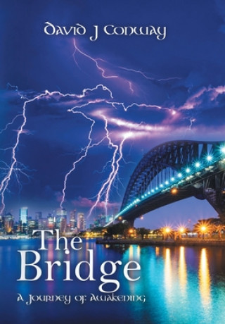 Buch Bridge Conway David J Conway