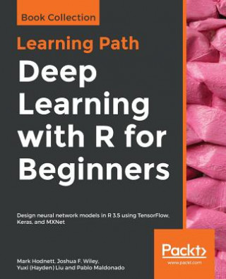 Kniha Deep Learning with R for Beginners Mark Hodnett