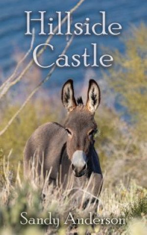 Buch Hillside Castle Anderson Sandy Anderson